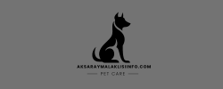 aksaraymalaklisiinfo.com